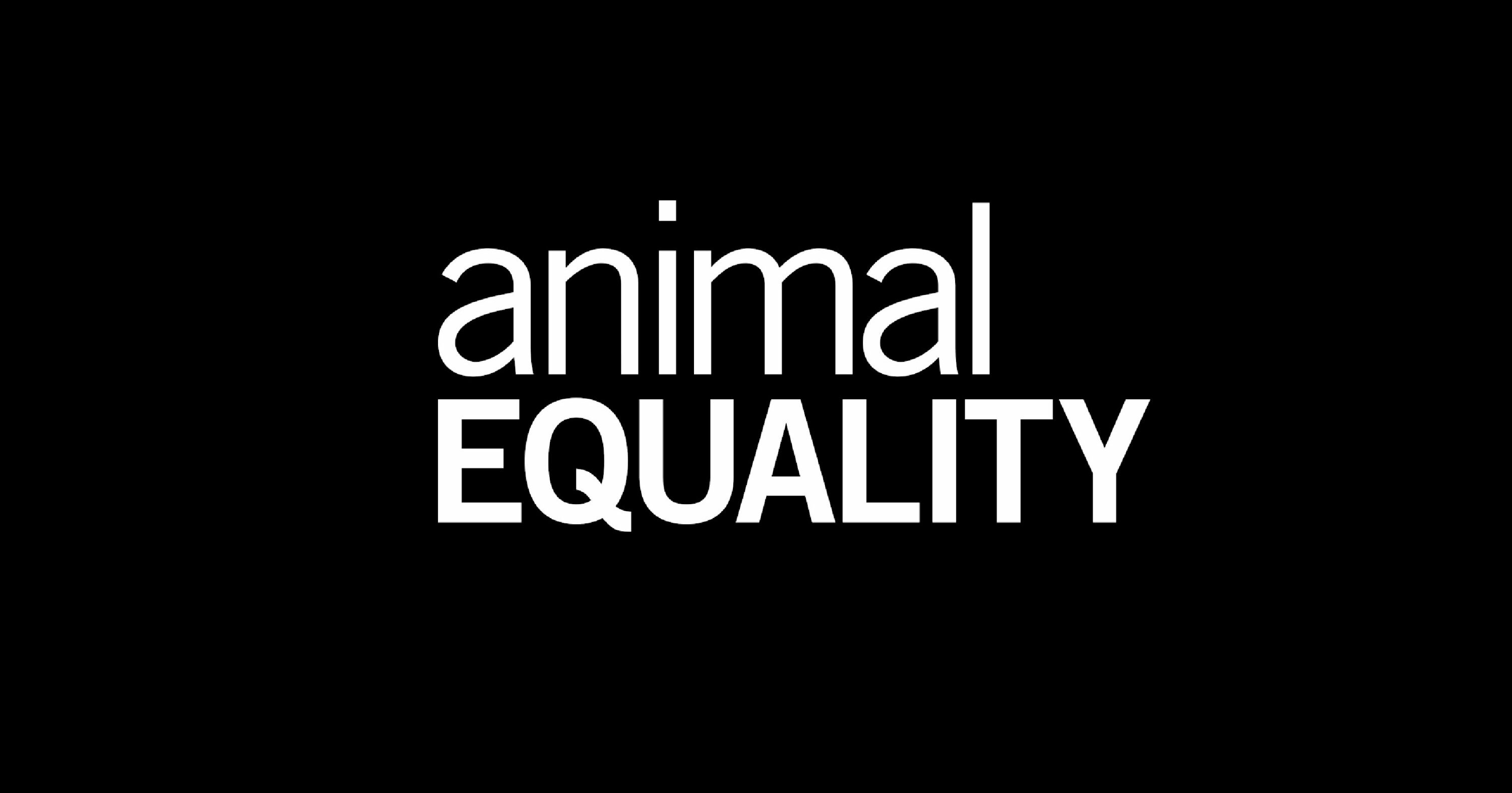 Financials of Animal Equality
