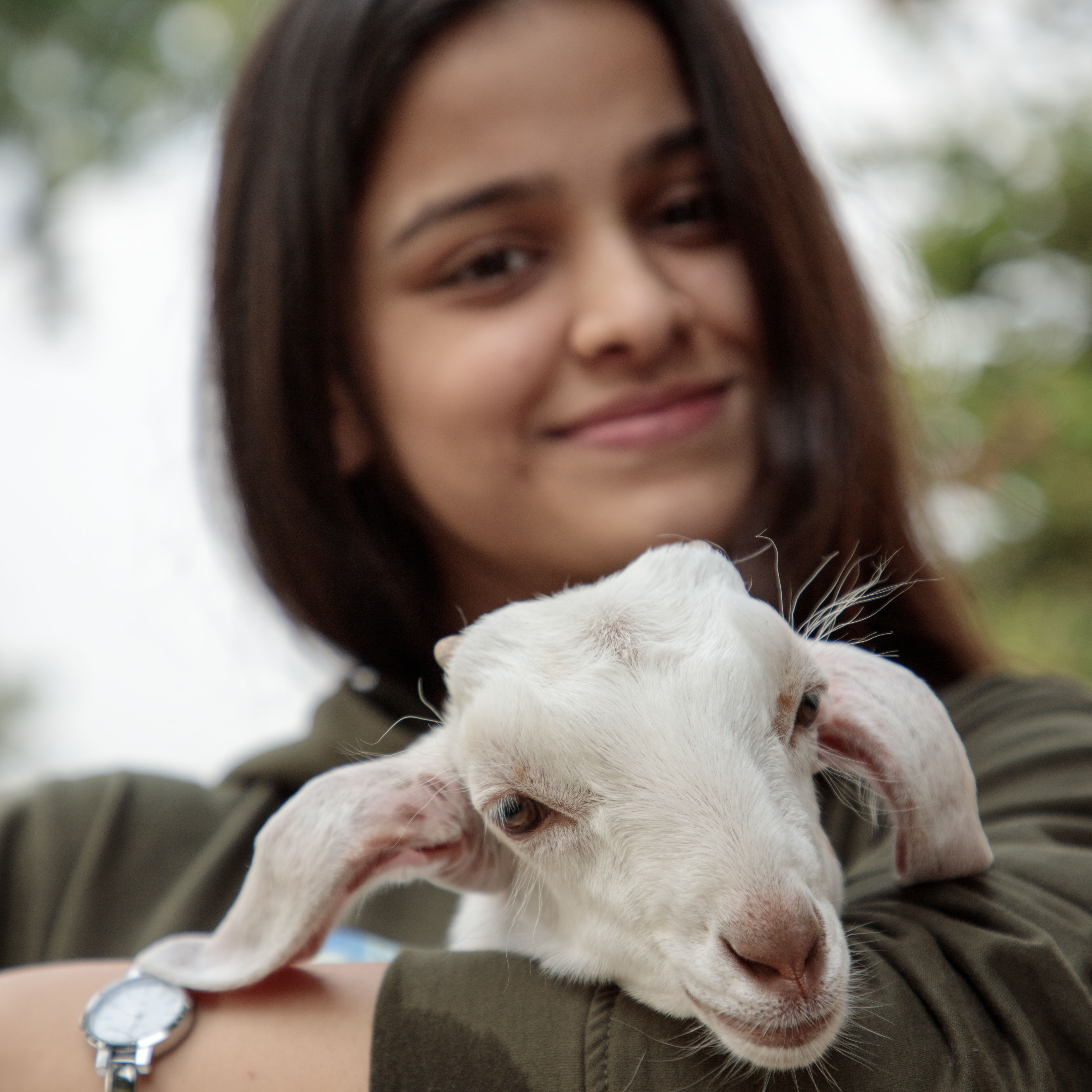 let-s-celebrate-be-kind-to-animals-month-animal-equality-india