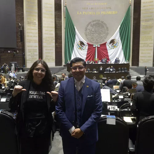 Animal Equality at the Congress in Mexico