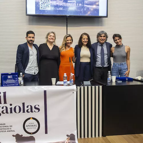 Animal Equality during the launching of the Brazil Without Cages campaign