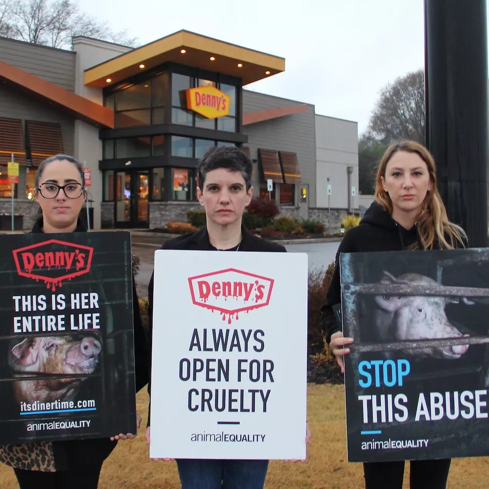 Animal Equality protesting outside a Dennys