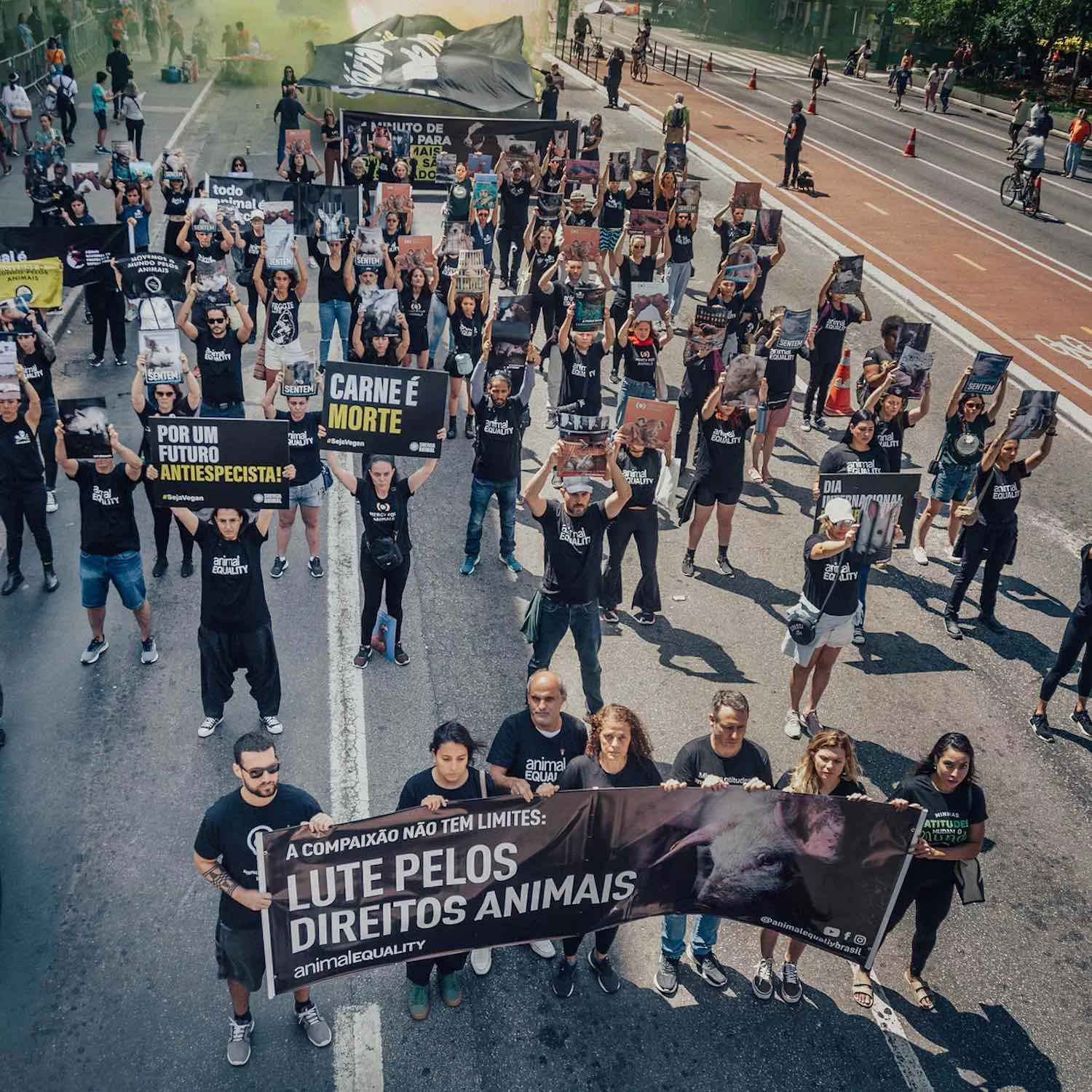 Animal Rights Day protest in Brazil