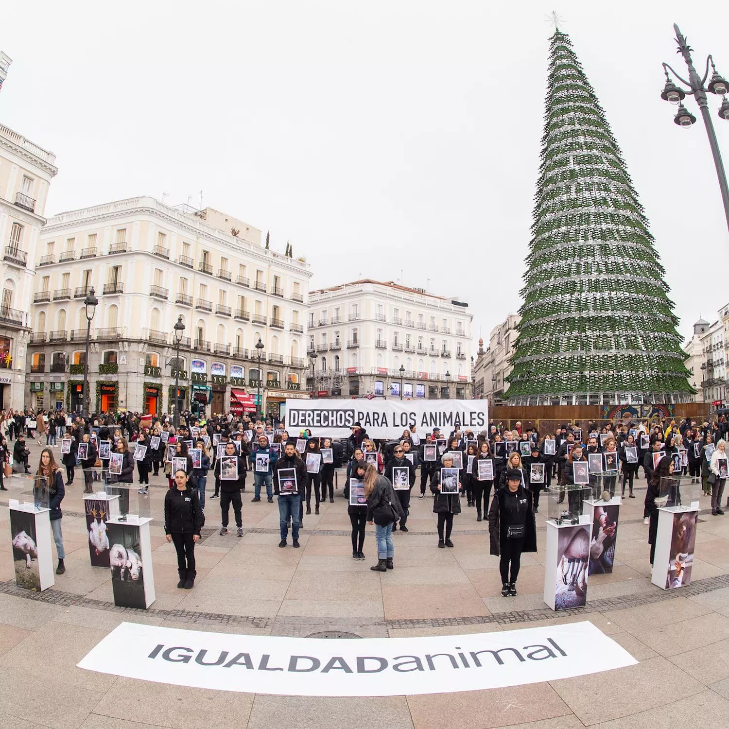 Animal Rights Day protest in Spain