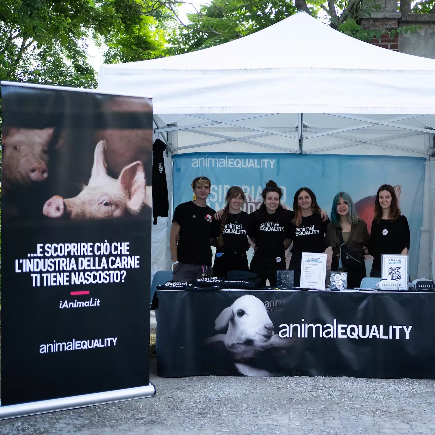 iAnimal at the Skate & Surf Film Festival in Italy