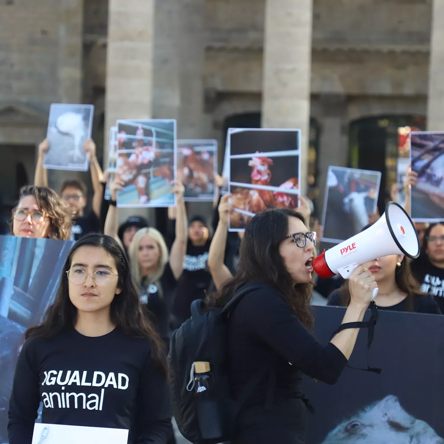Animal Rights Day protest in Mexico