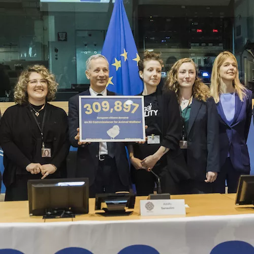 Delivery of the signatures for an EU Commissioner for Animal Welfare