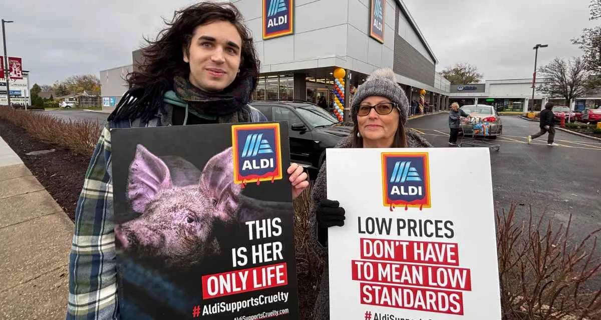 Two people holding banners during a protest against ALDI