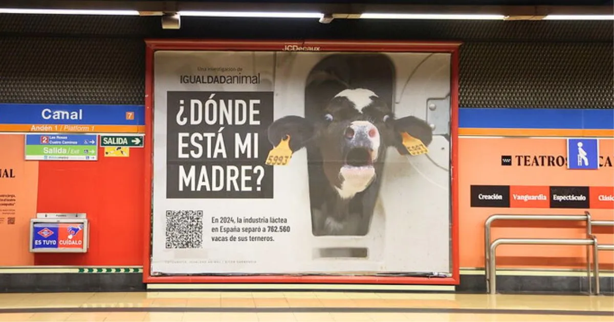 Animal Equality dairy ad in the Spain metro
