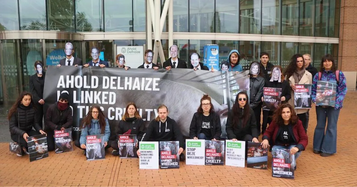 Animal Equality protests against Ahold Delhaize in the Netherlands