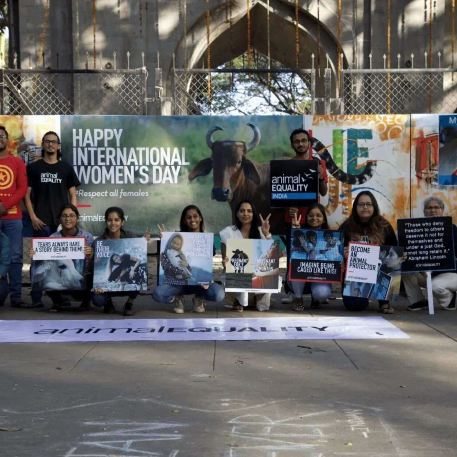 Celebrating 14 Years of Impact for Animals