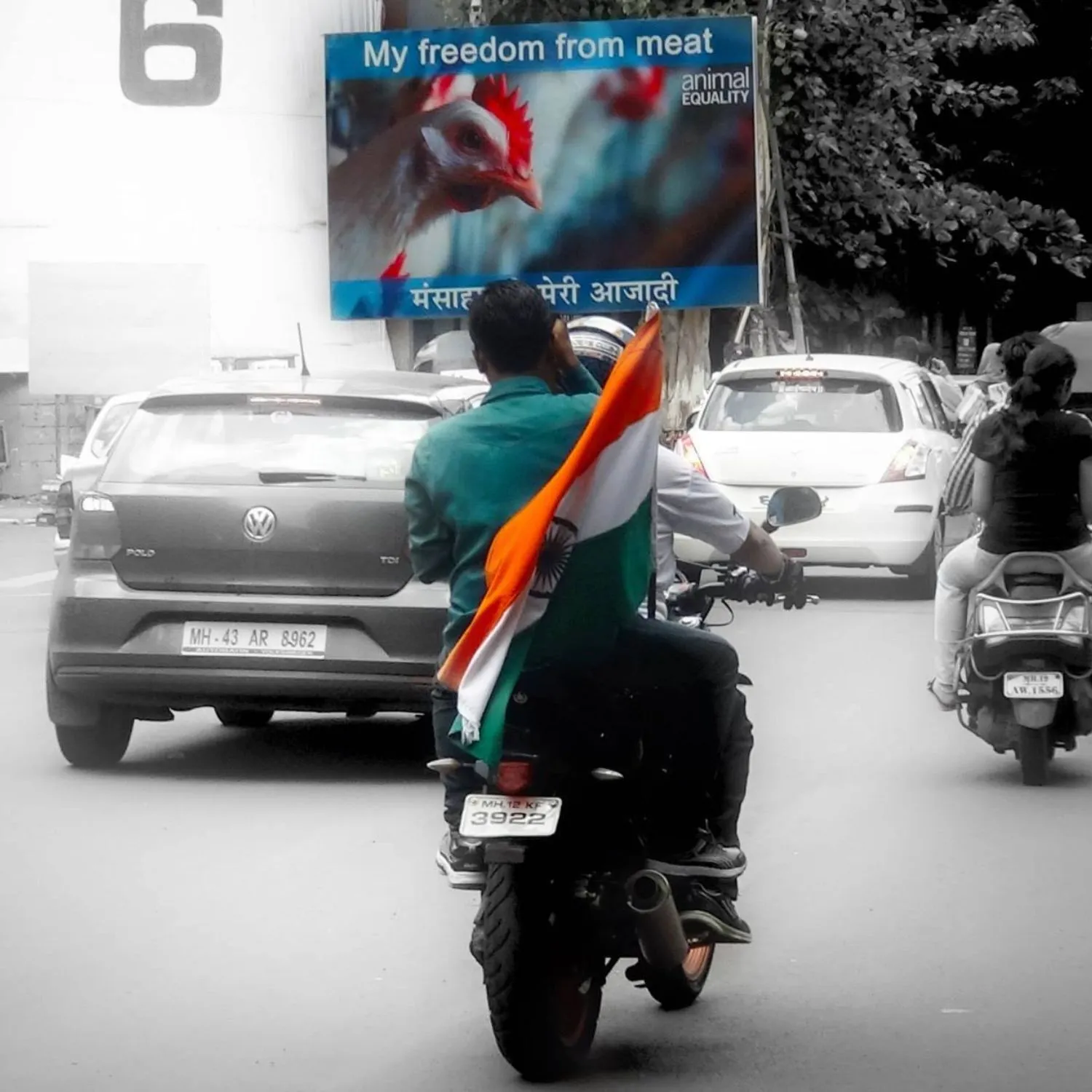 Republic Day: India’s Constitution and the Moral Case for Animal Rights