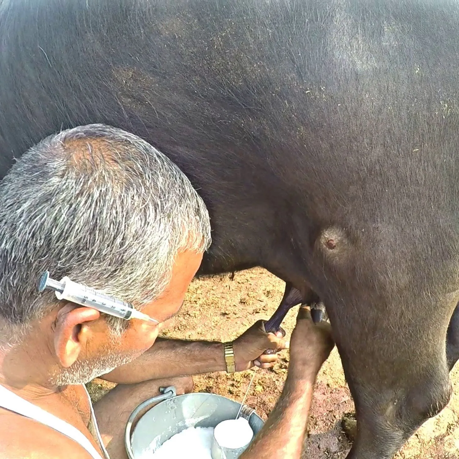 Consumer Rights Day: Are We Truly Informed About What’s on Our Plate?