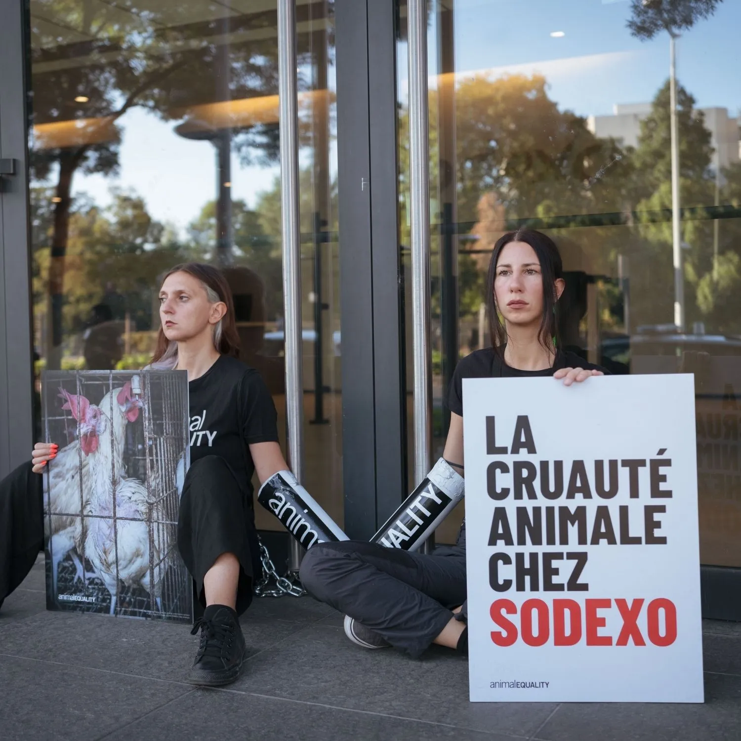 Activists end Sodexo protest after company agrees to engage on cage-free promise 1 Activists end Sodexo protest after company agrees to engage on cage-free promise